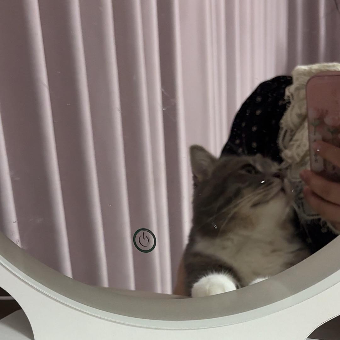 莎莎带你看好房