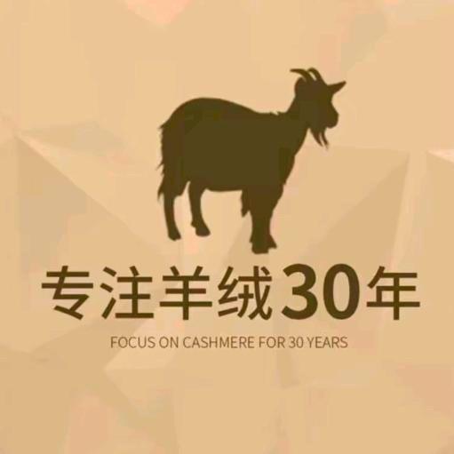 男装羊绒专柜店