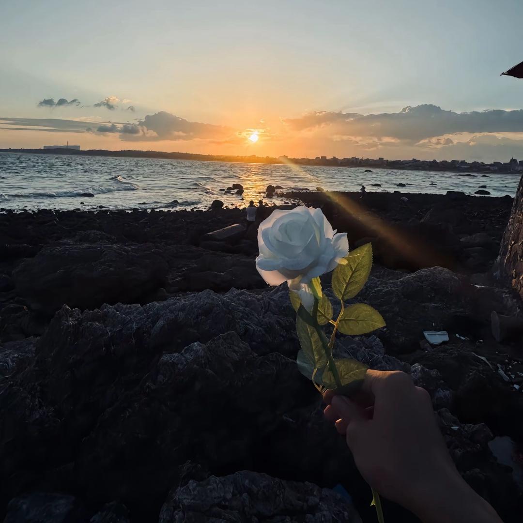 鹤归时雾起.