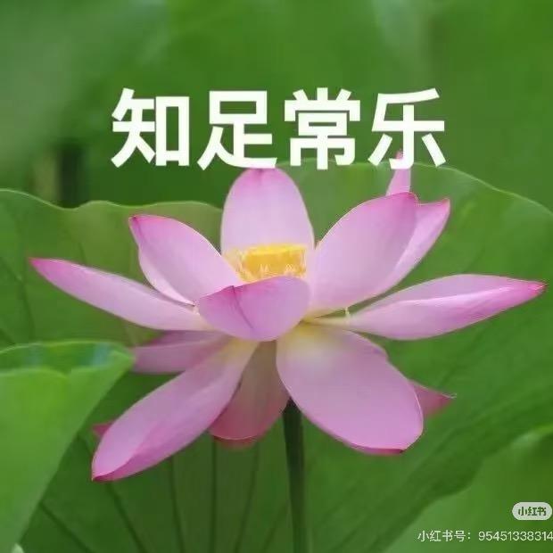 AA建材家居王姐姐