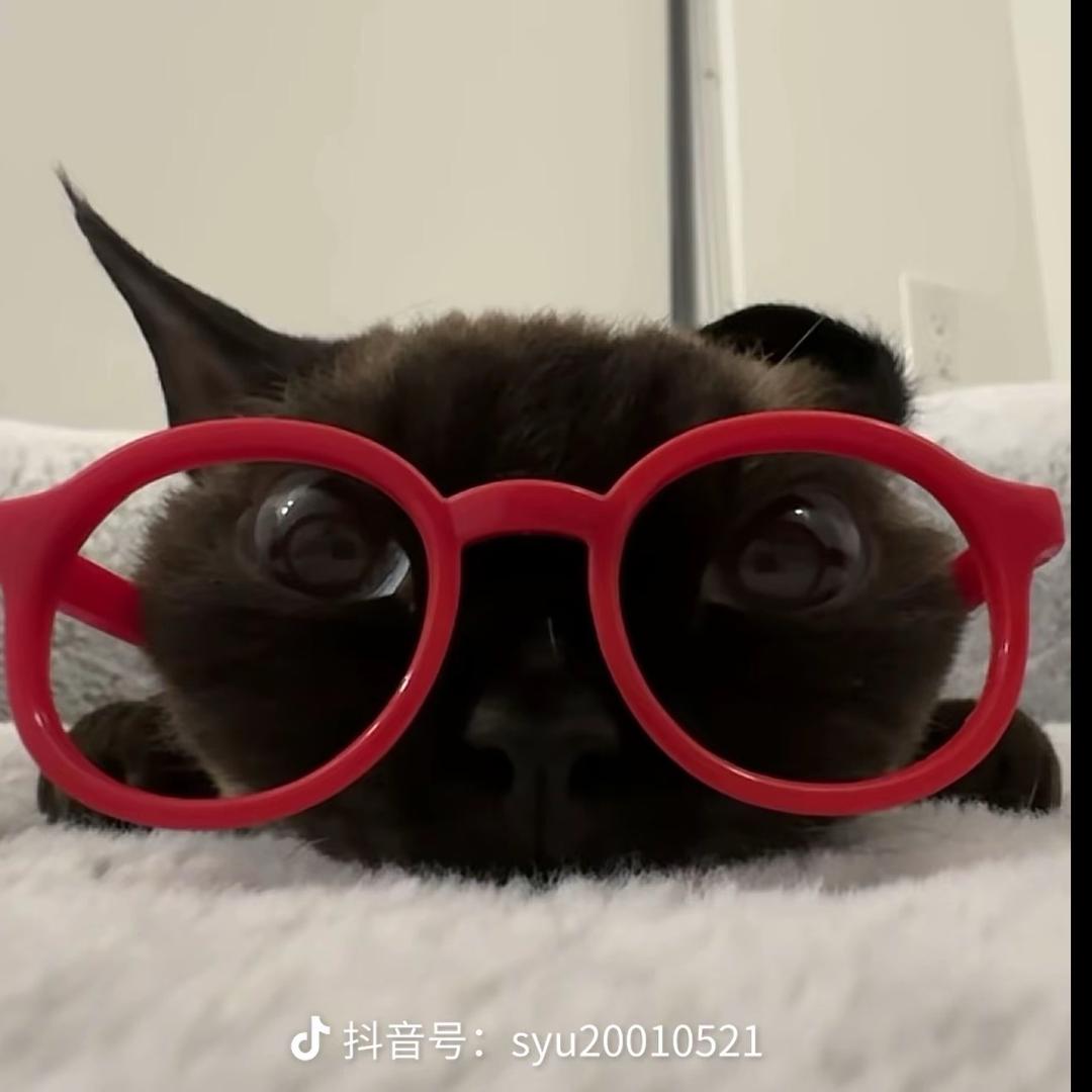 泠䒠