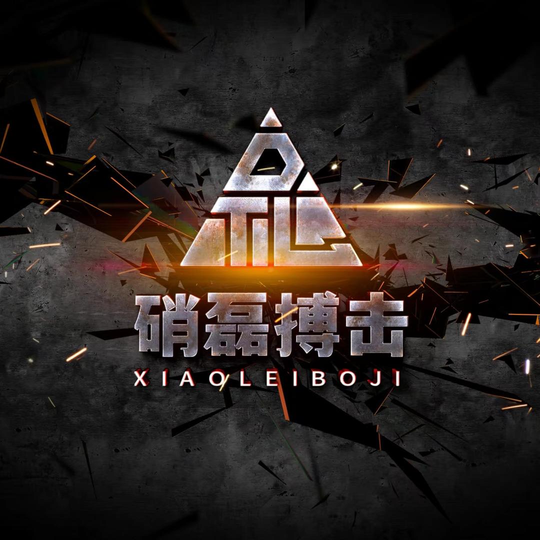 驻马店职业硝磊搏击（招收职业队）