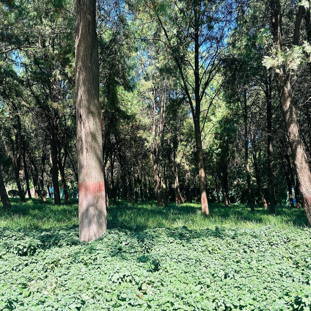 沉尘