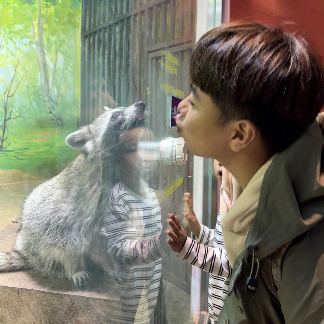 炸百道炸鸡腿炸百道