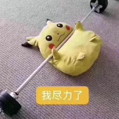 磁悬浮猫车