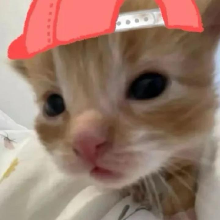 小G、