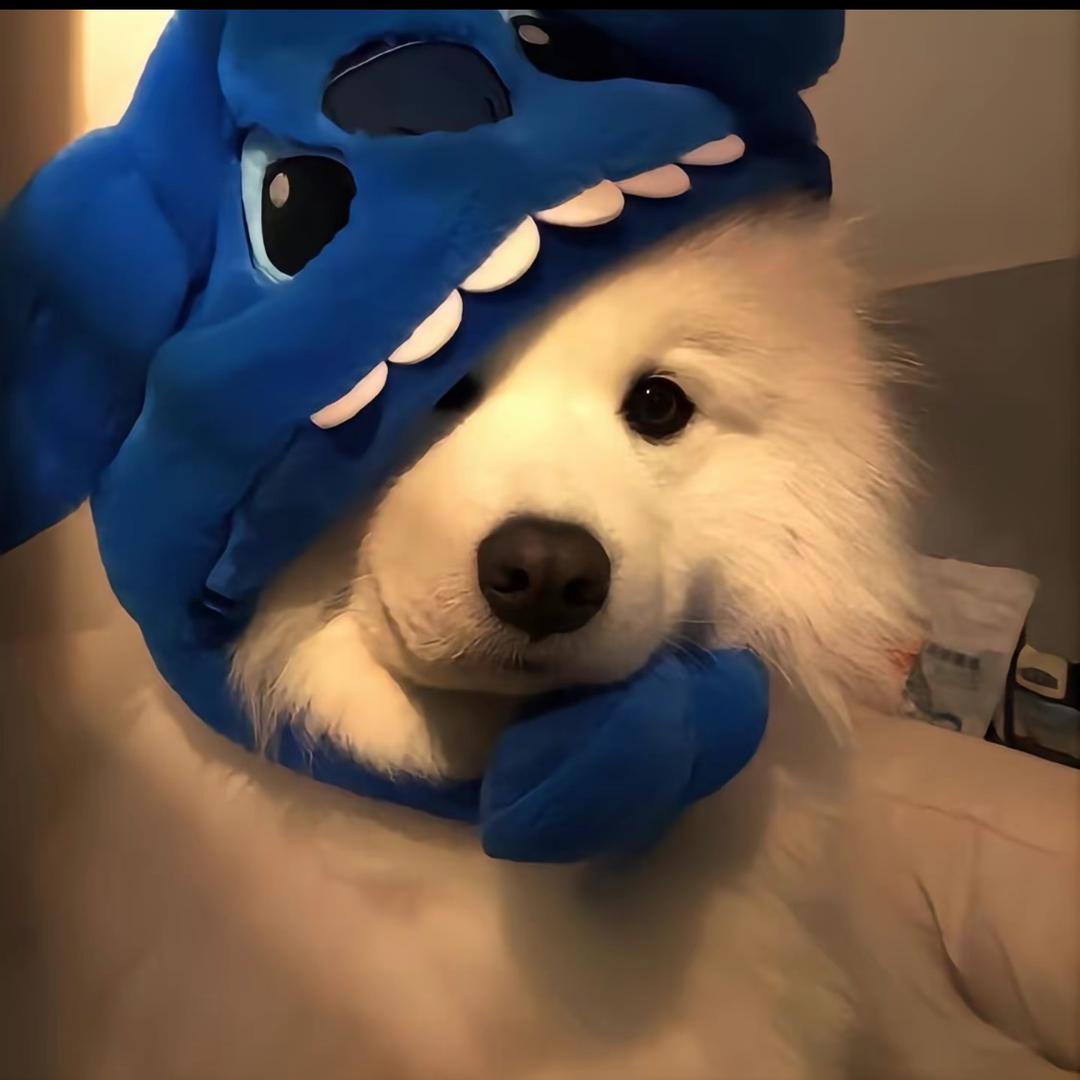 Echo’