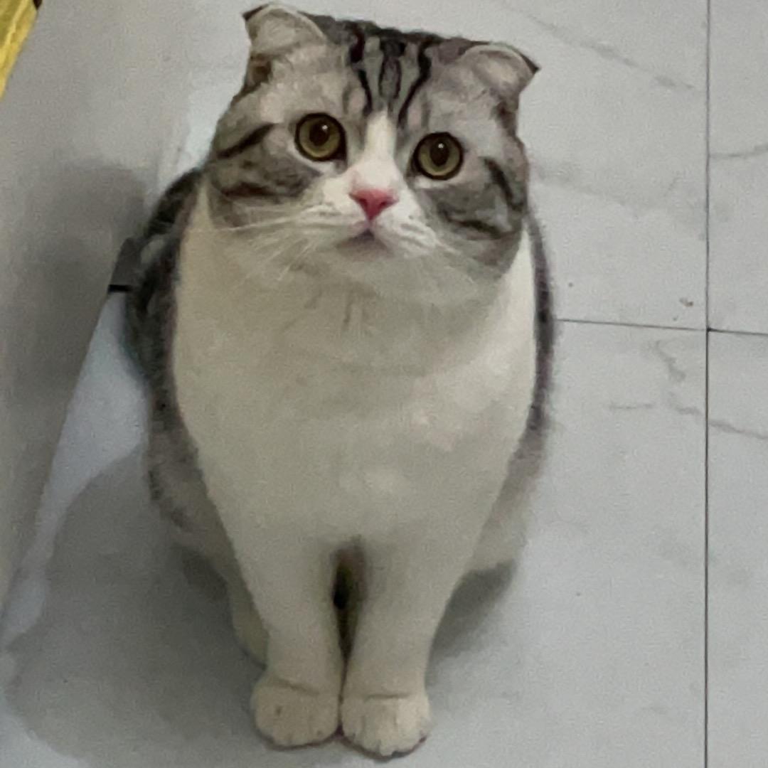 倒头就睡丶