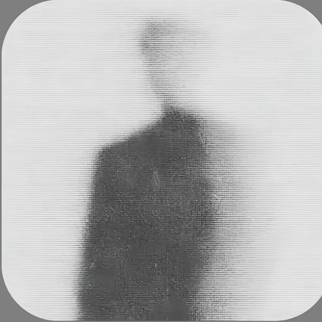 Y.’