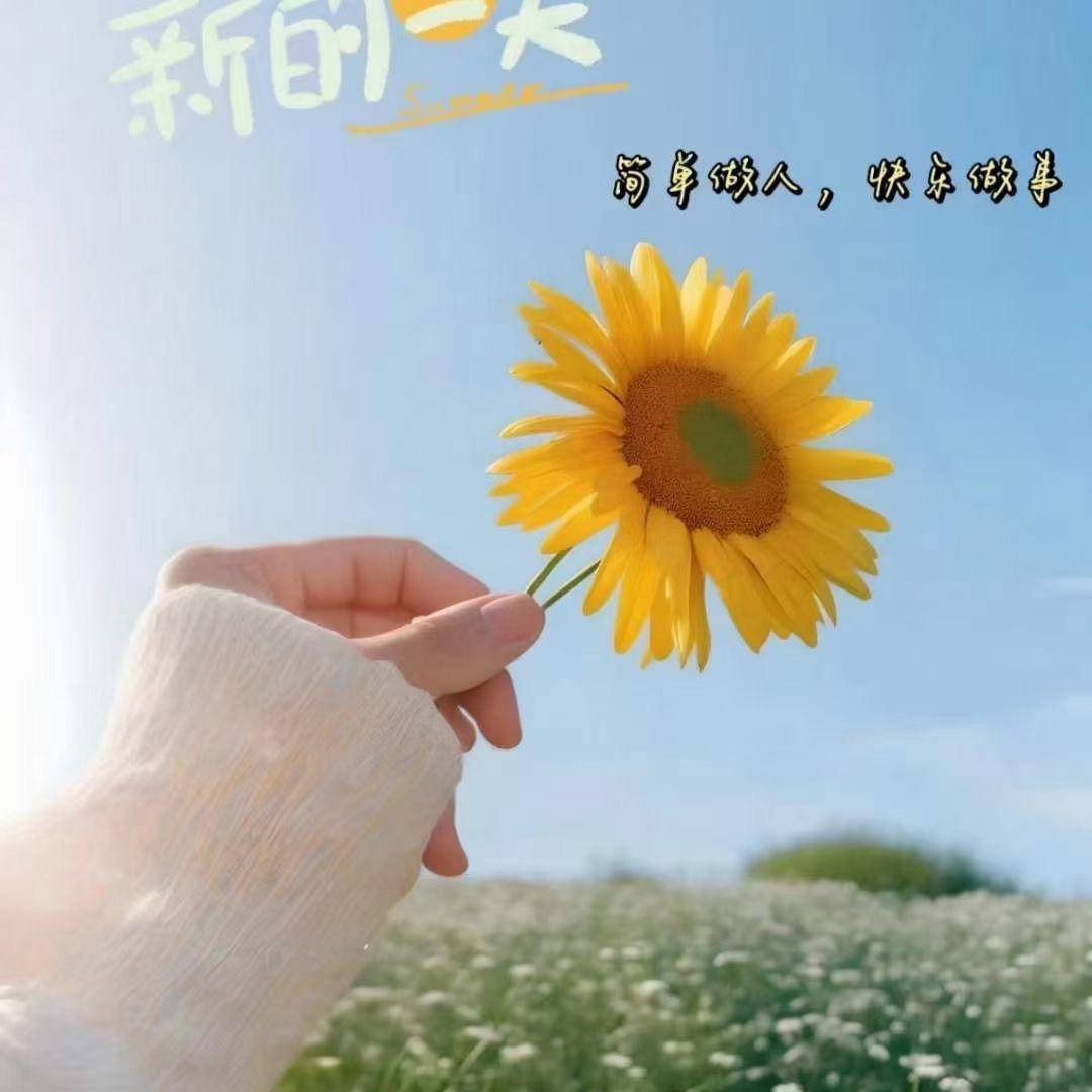 依然🍒