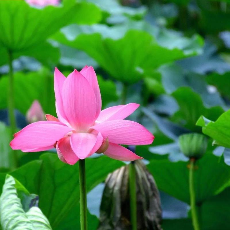 润道居士-（解疑答惑）