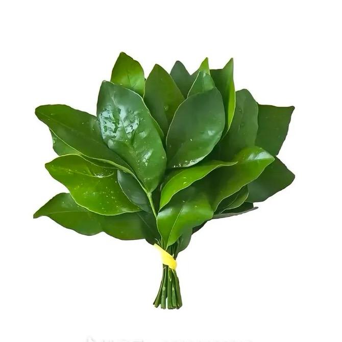 好运泡芙꙳˚̩͙