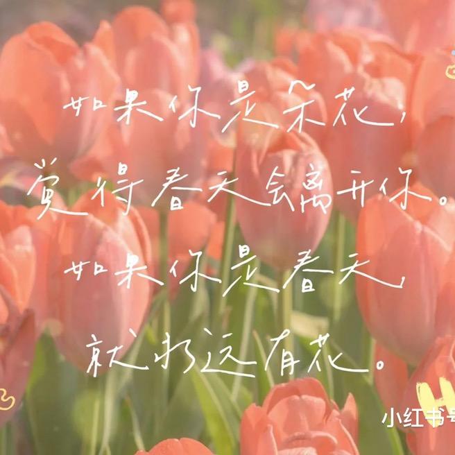 柚子陈陈～