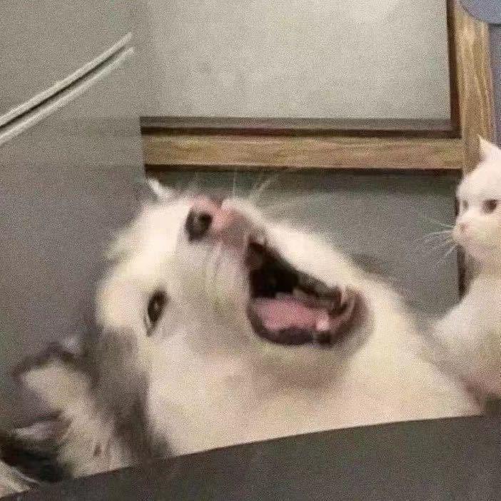 杰瑞的杰杰伦的伦