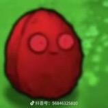 专属名称