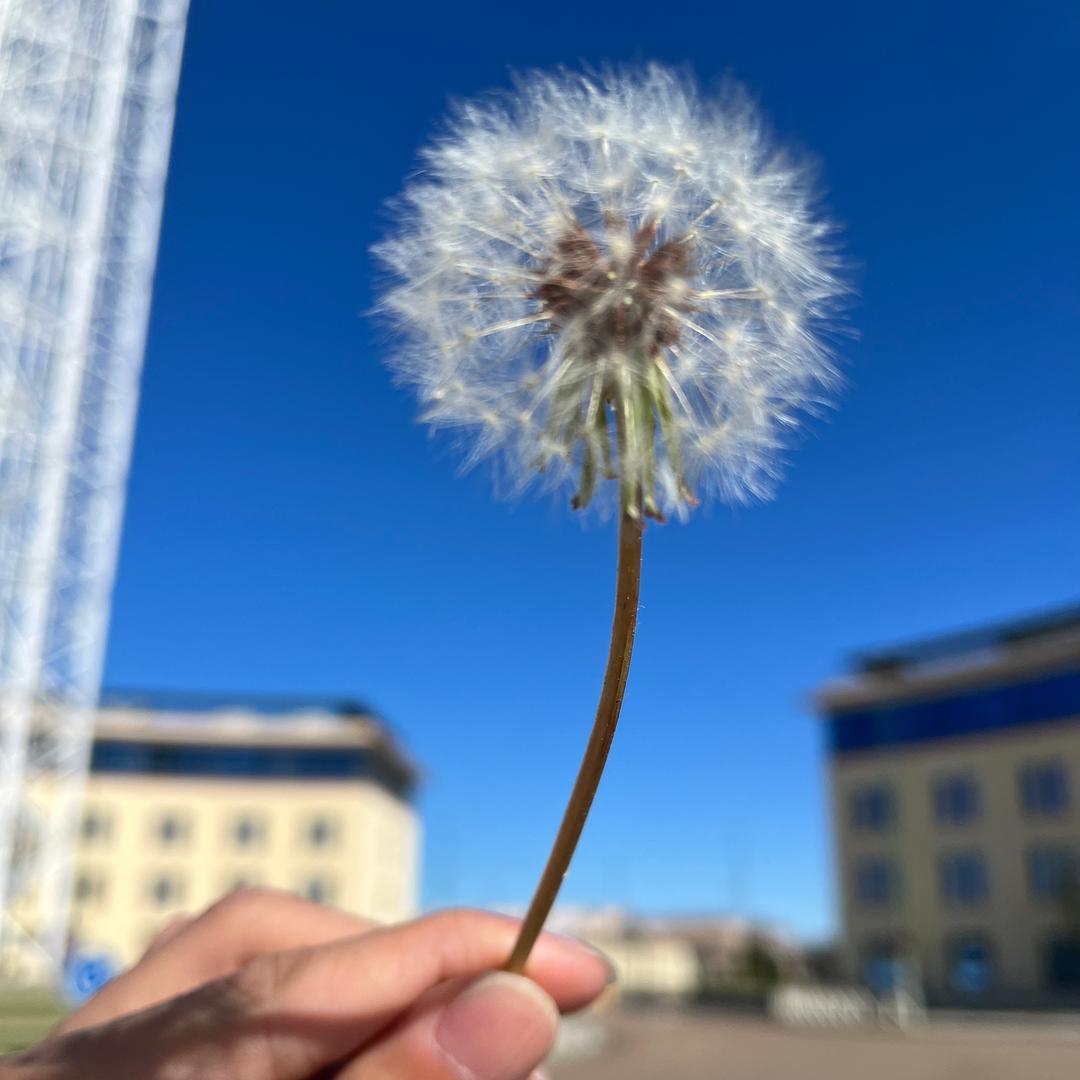 海与落日