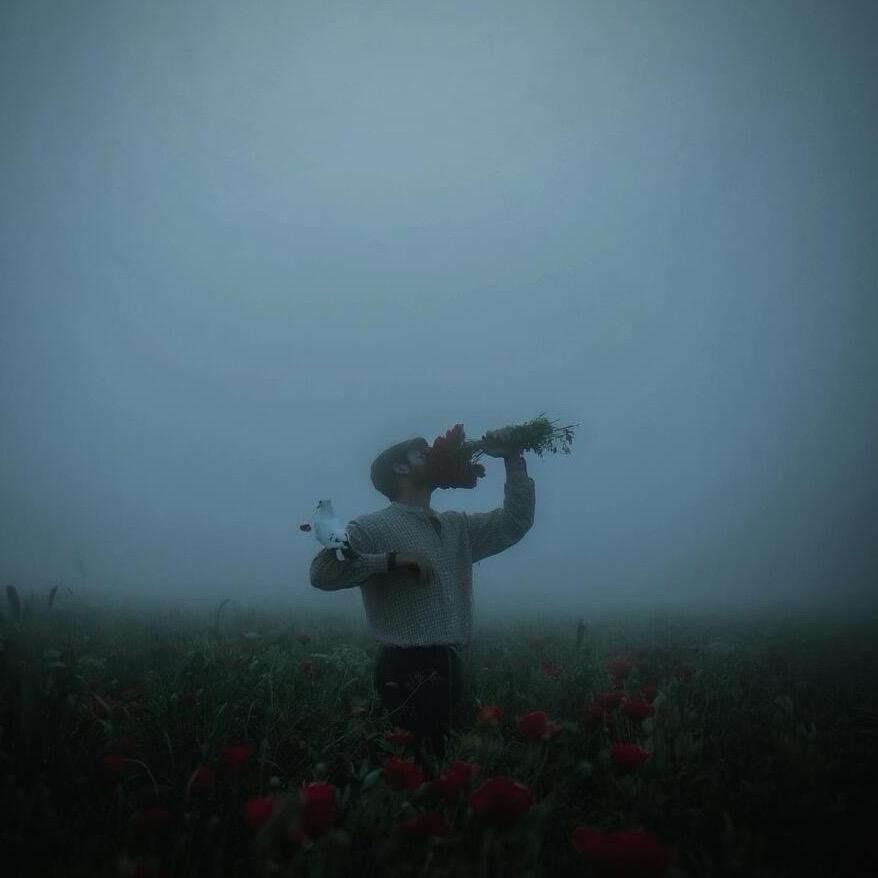 十三〰️