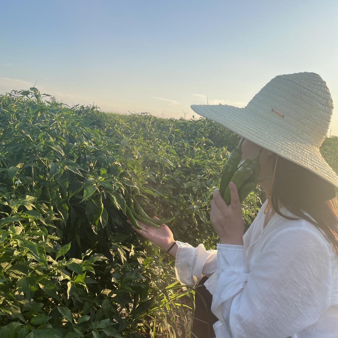 农家鲜菜园甄选