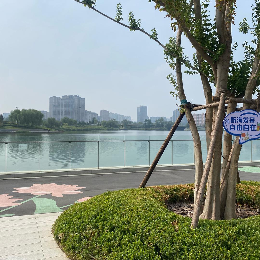 心若安然
