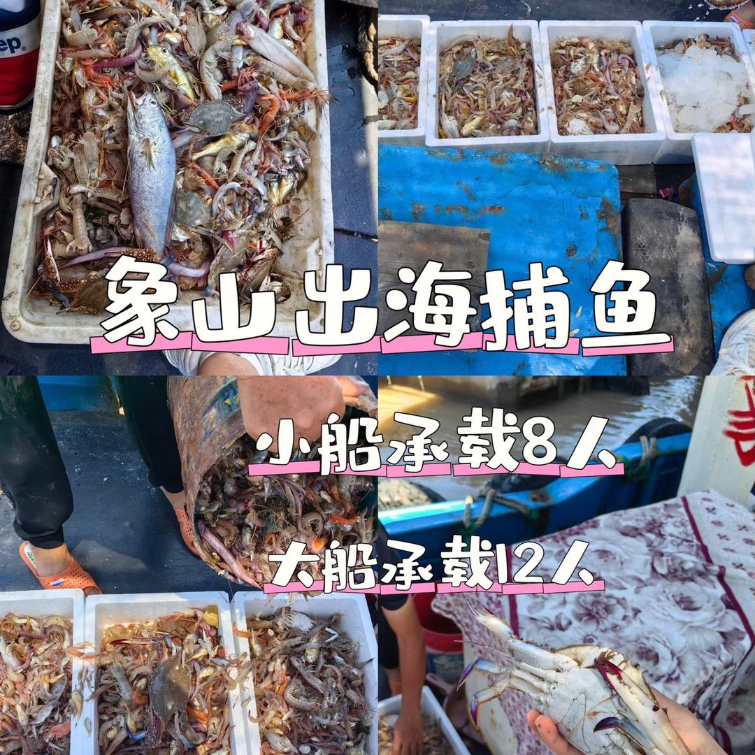 象山石浦出海捕鱼🐰