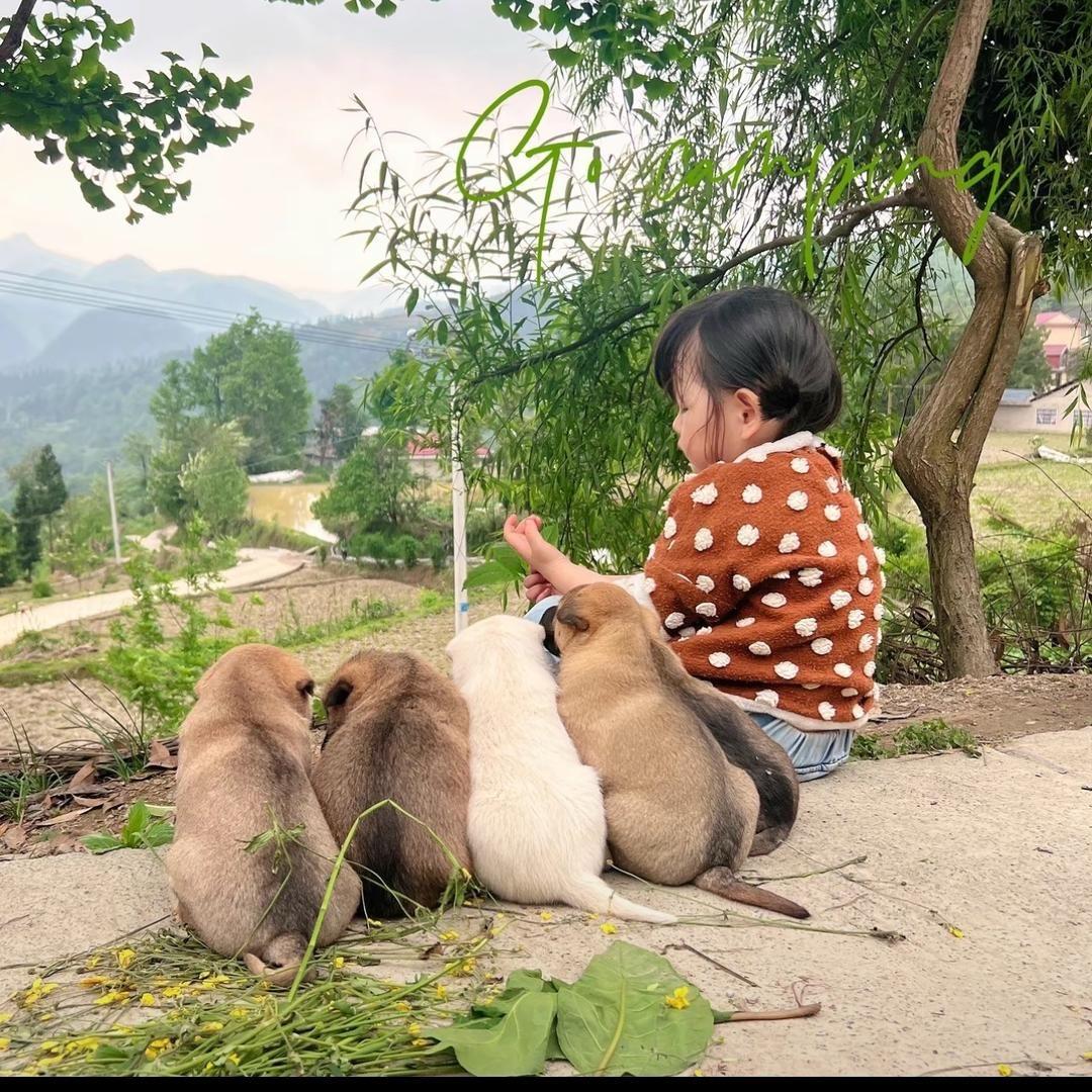 妹妹🍼🍼