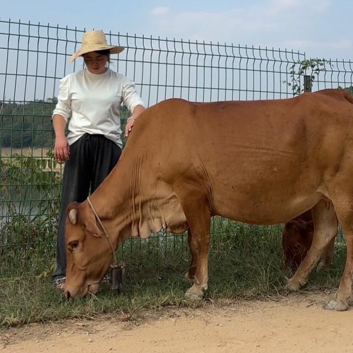 周姐姐👩🏻‍🌾农产优品