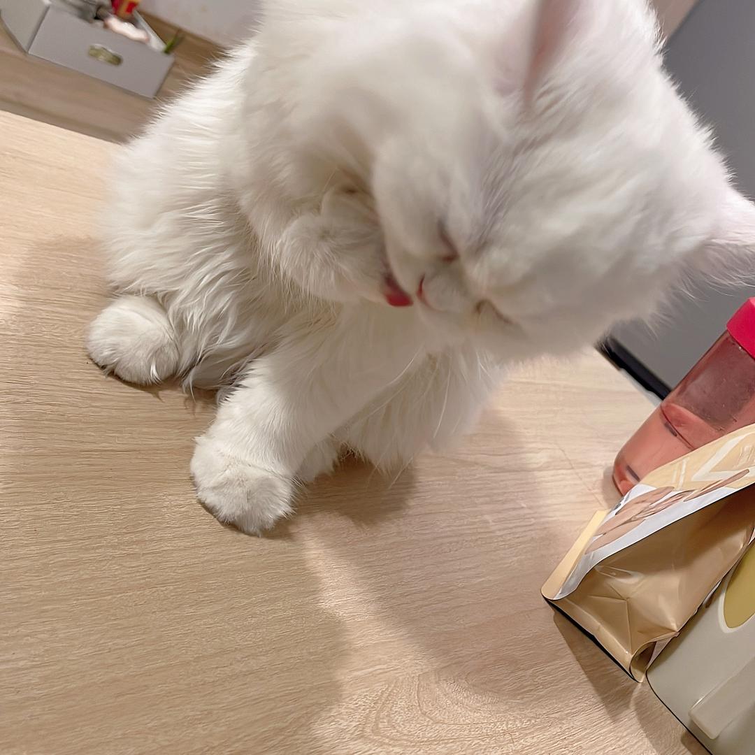 赵得住😁