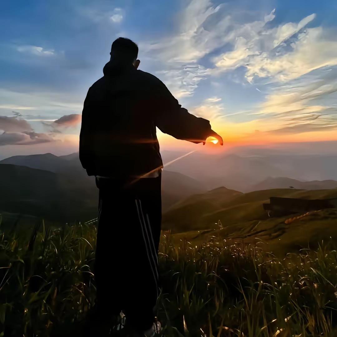 庭中有梨树