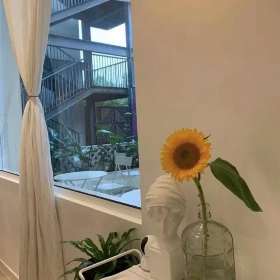 远赴人间月