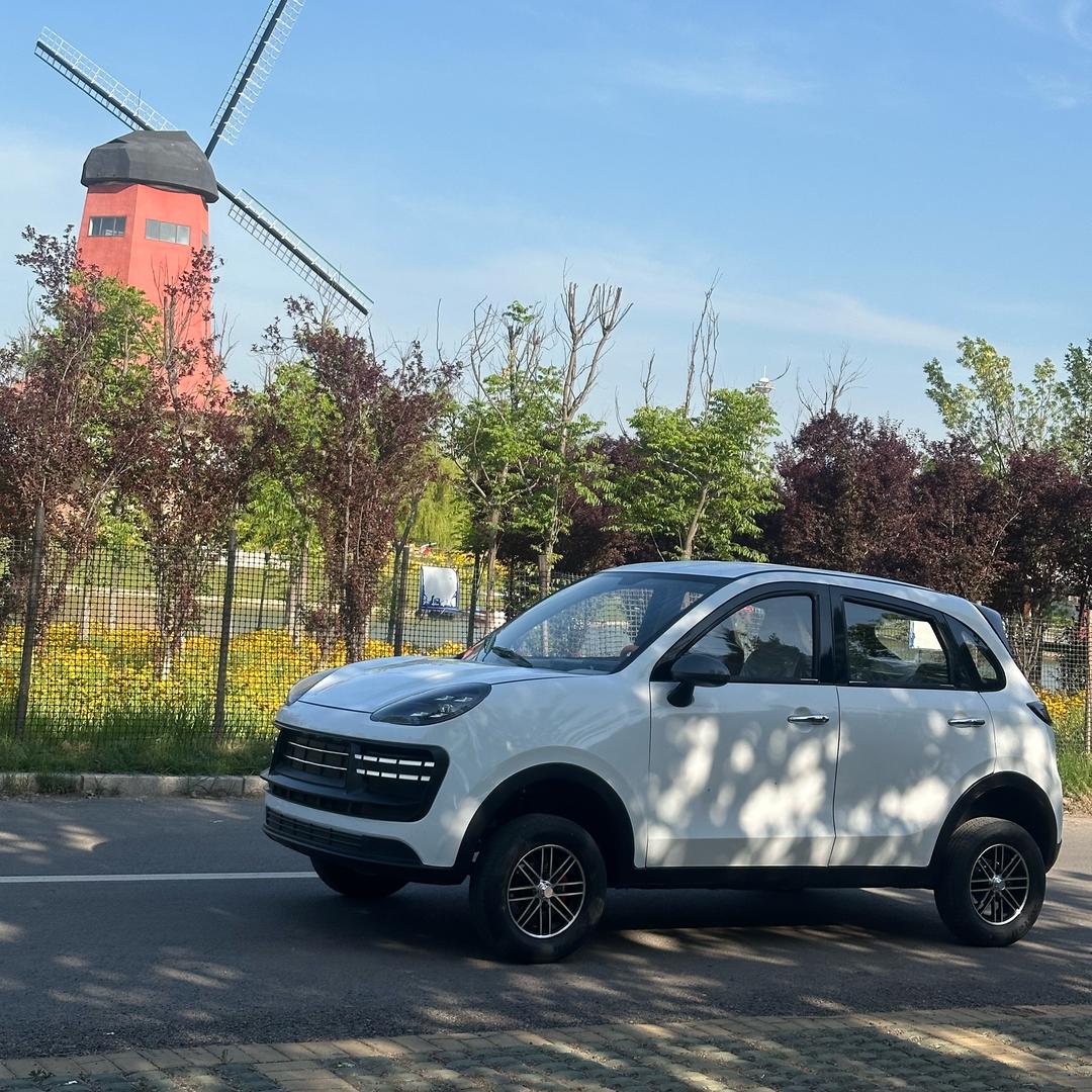 山东鸿运诺米四轮电动车-小妹