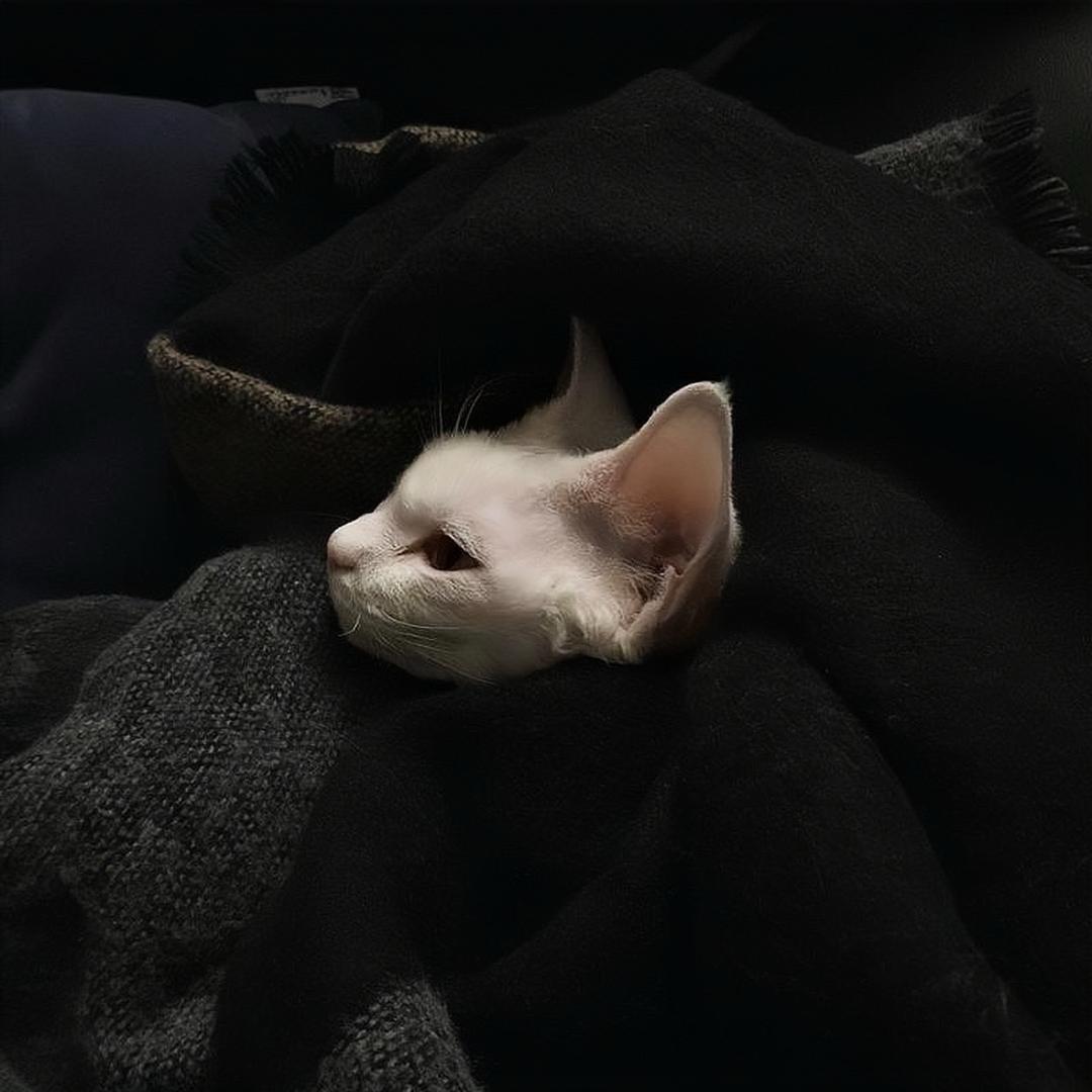 是一啊。