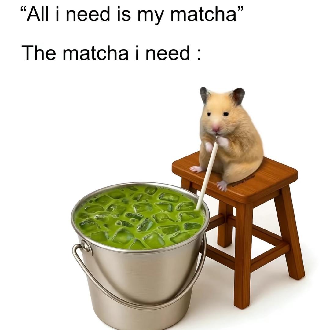 抹茶大王万岁万岁