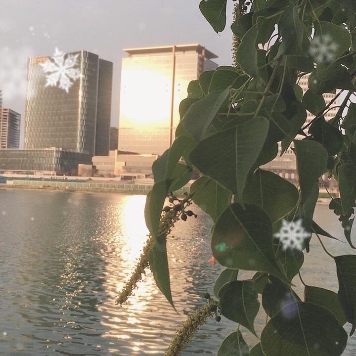 极致数码