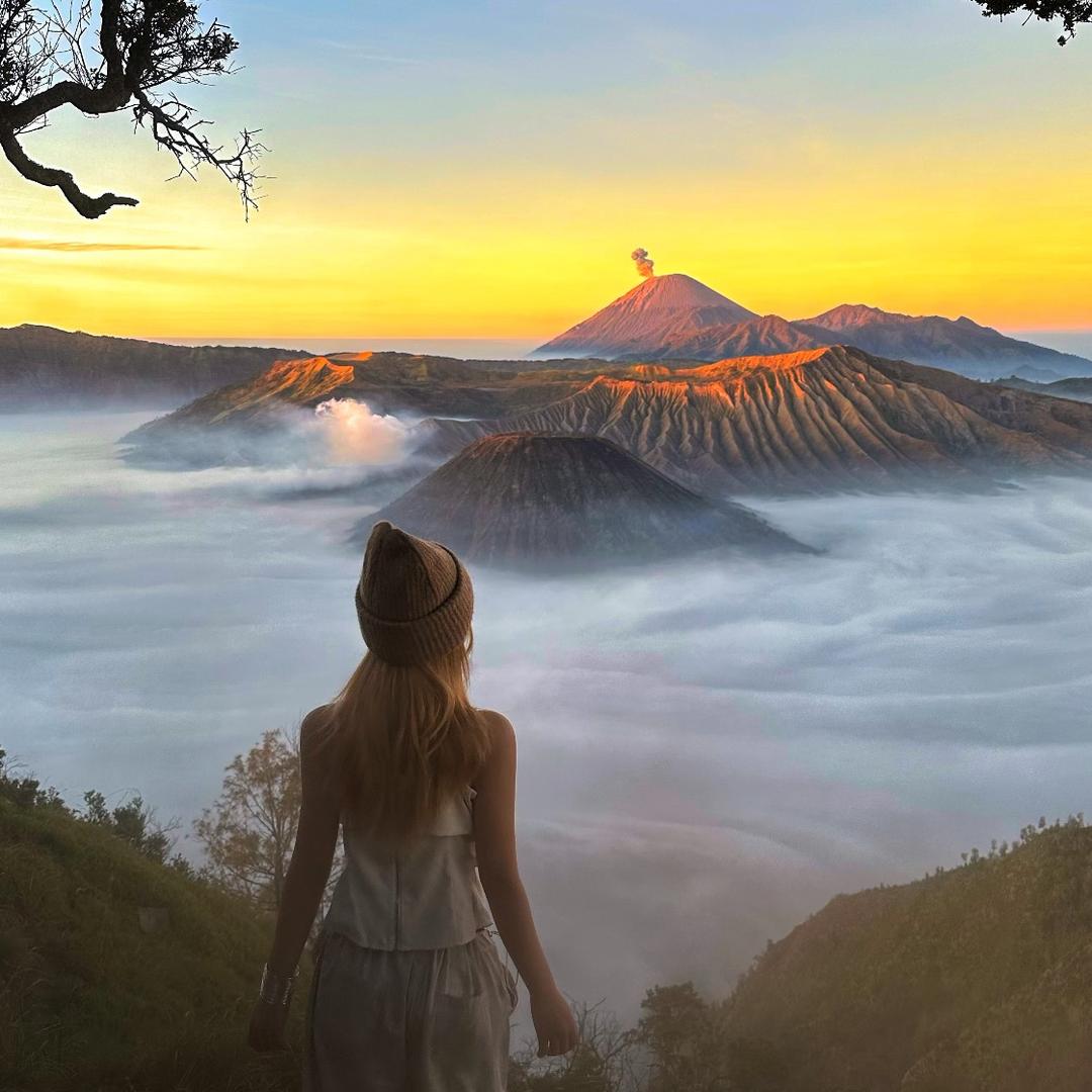 地球探险日记🌍