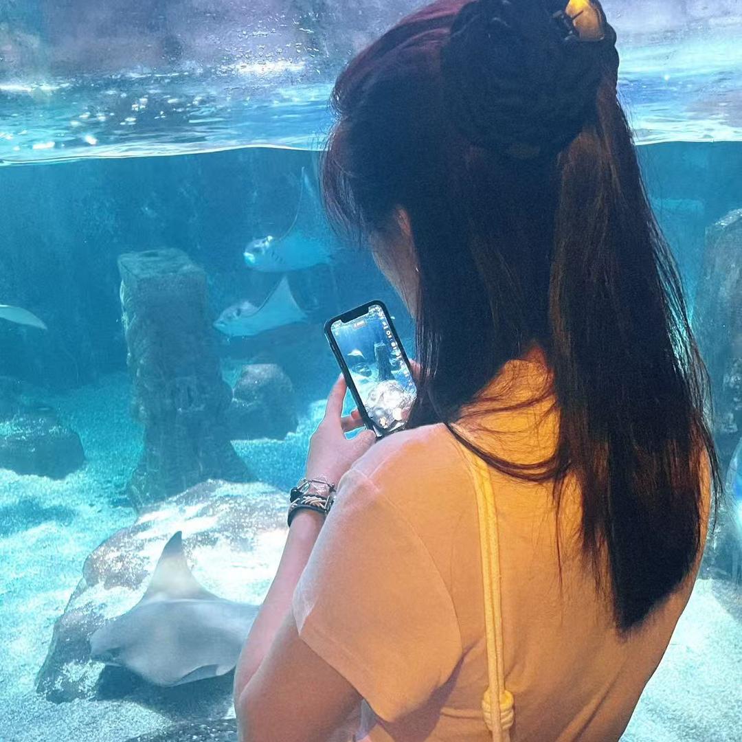 双子座♊
