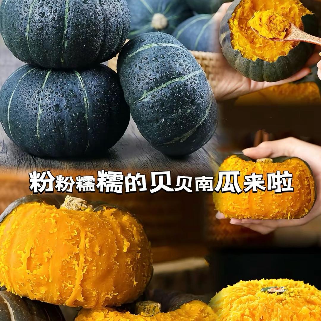 林林贝贝南瓜甄选