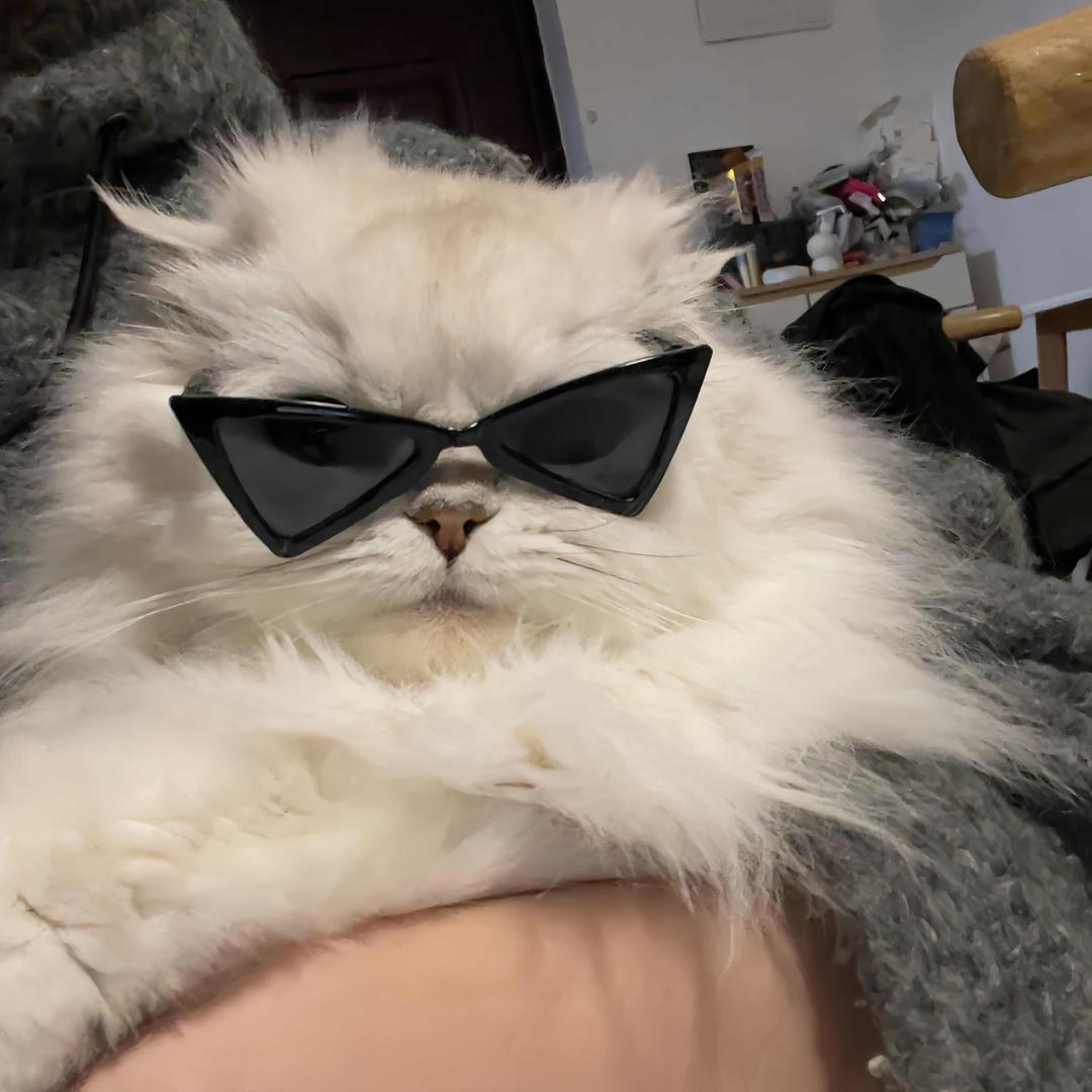 太酷辣