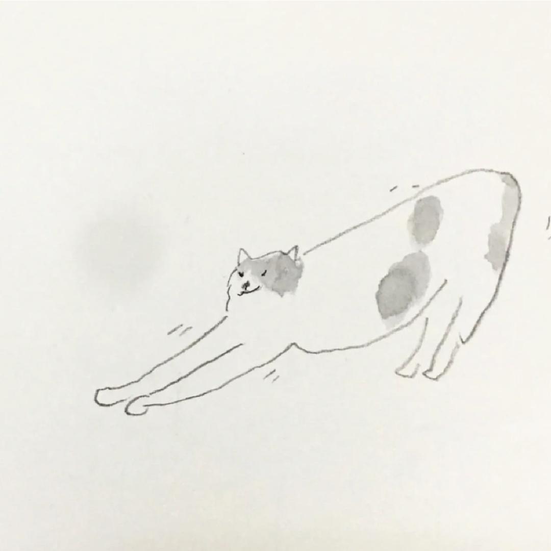 Miss.顾