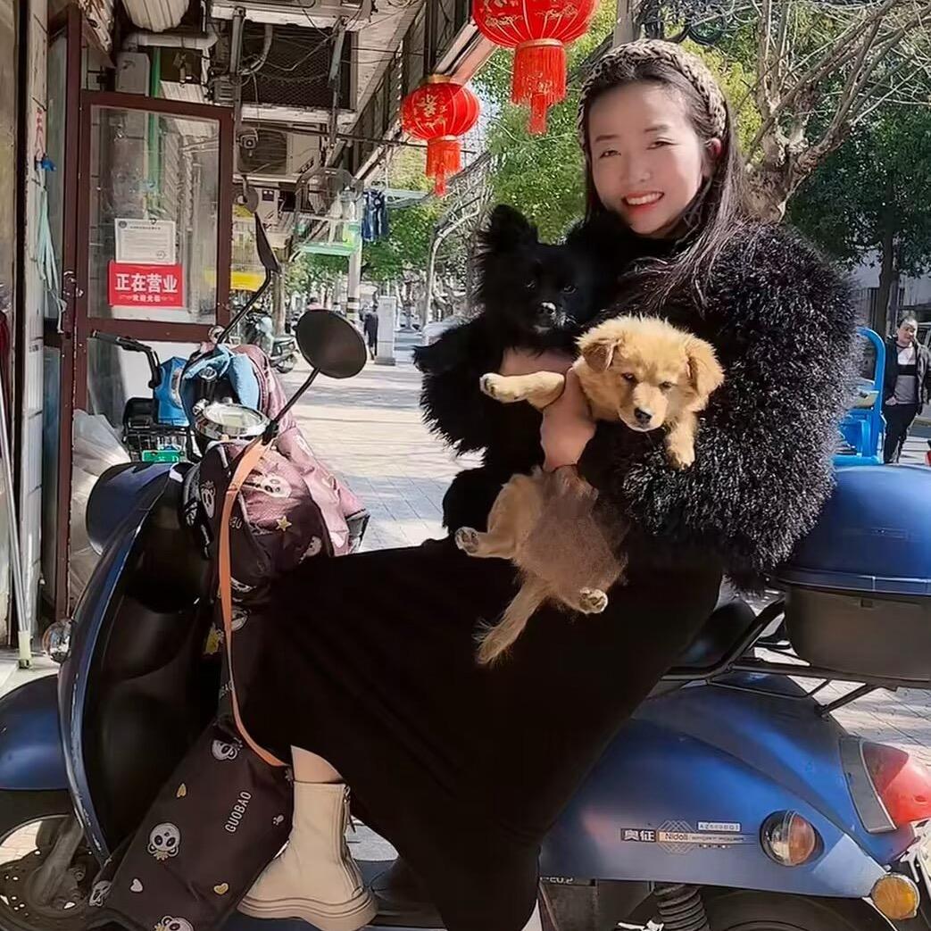 上上陈