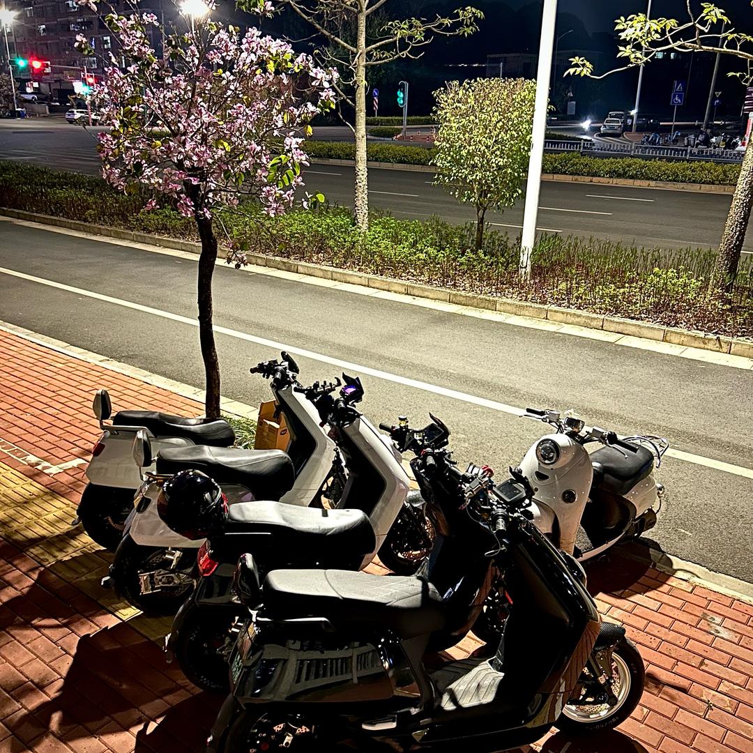 啊卷📸（沉淀中）