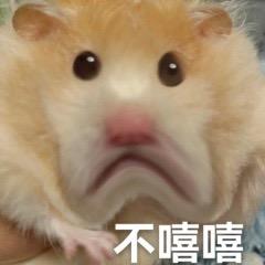 白小岁