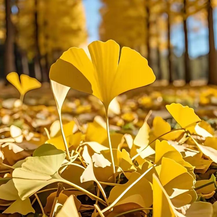 武汉市诚晟傲摄影工作室