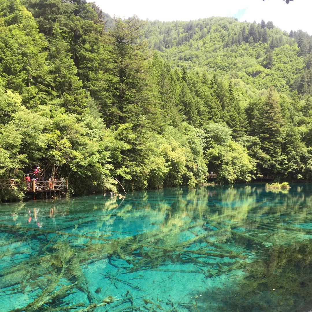 雅慧说家肆
