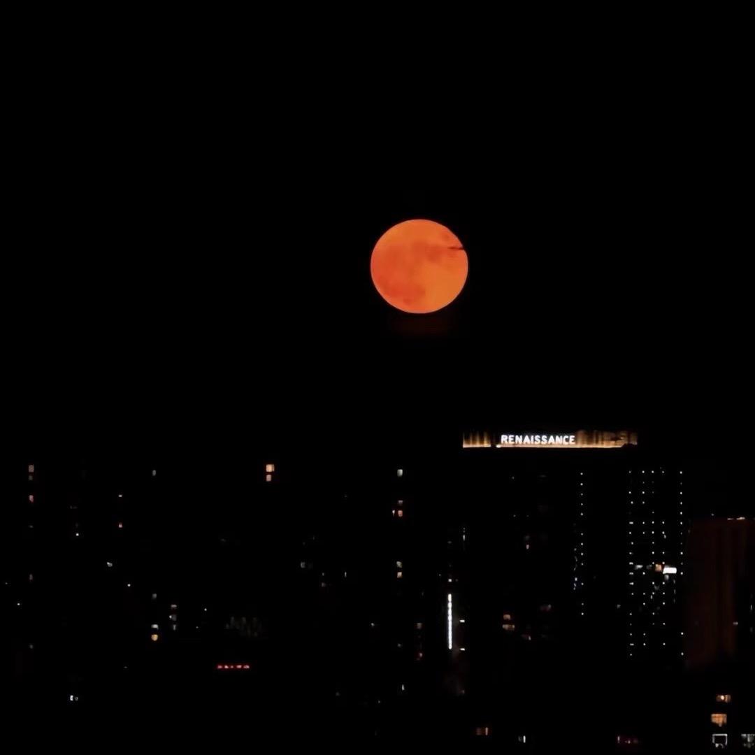 趁醉眠