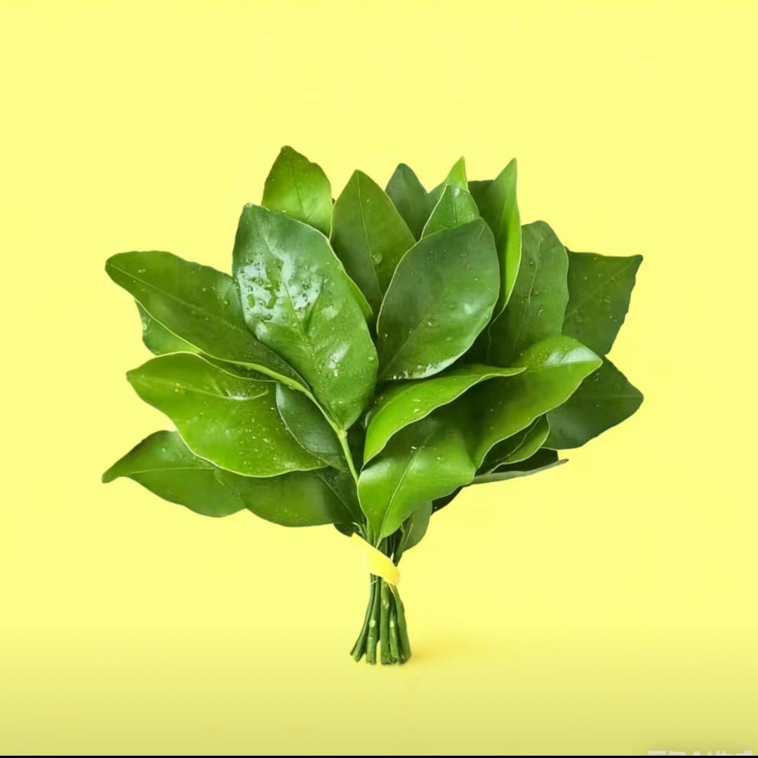Xx&