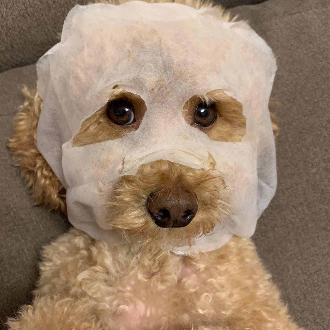 羊羽三子