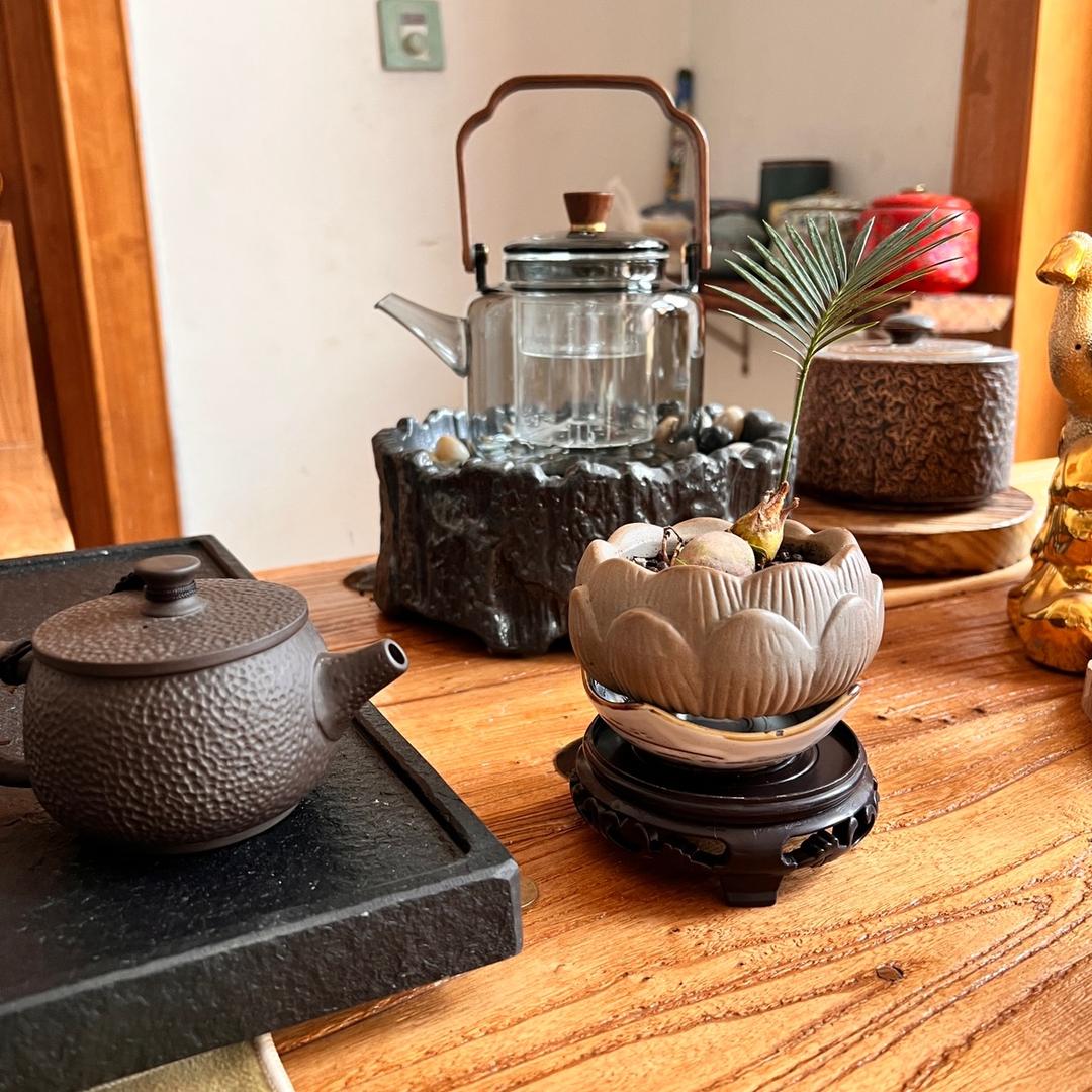 瑞鼎小喜鹊