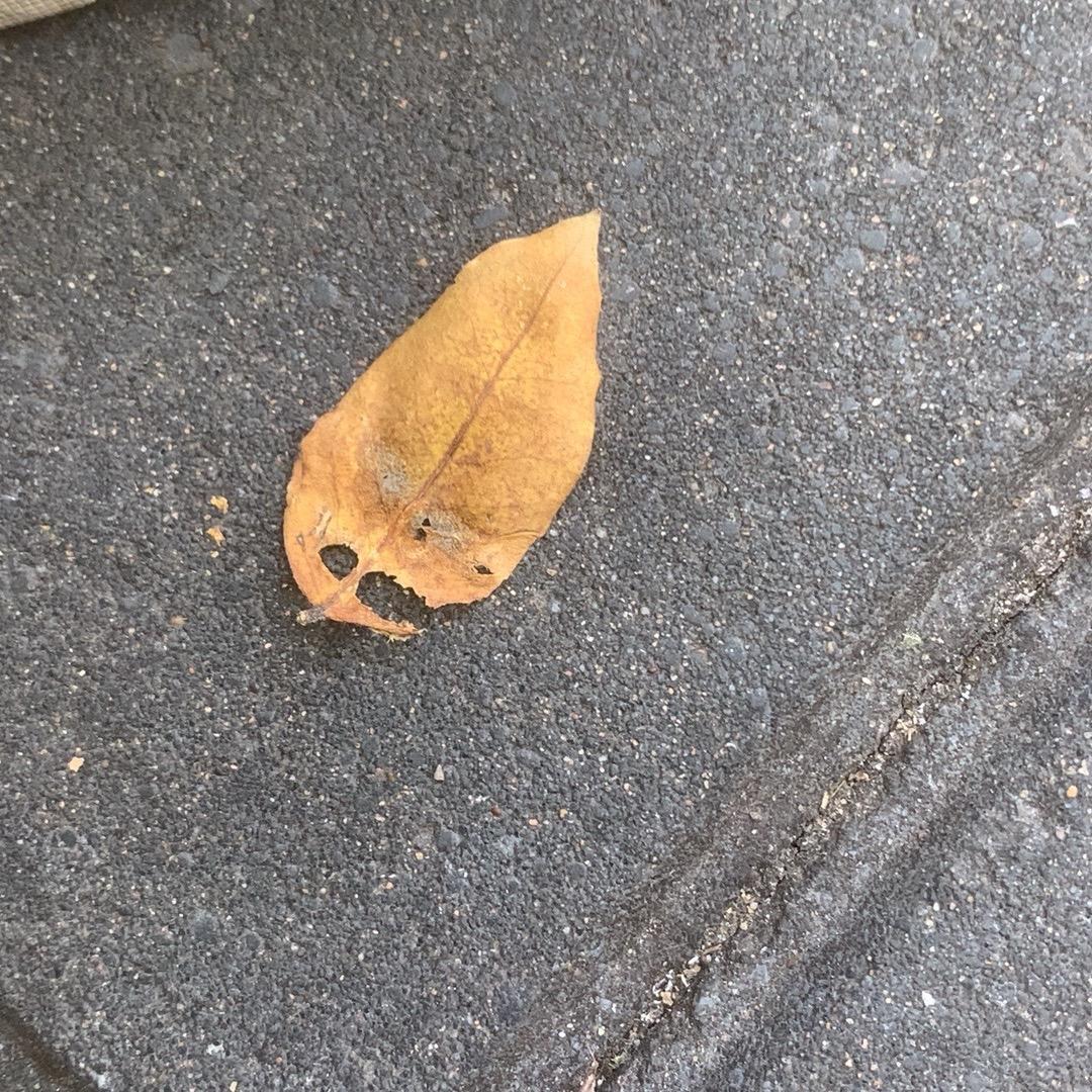 昆明苗昂商贸行，垂直