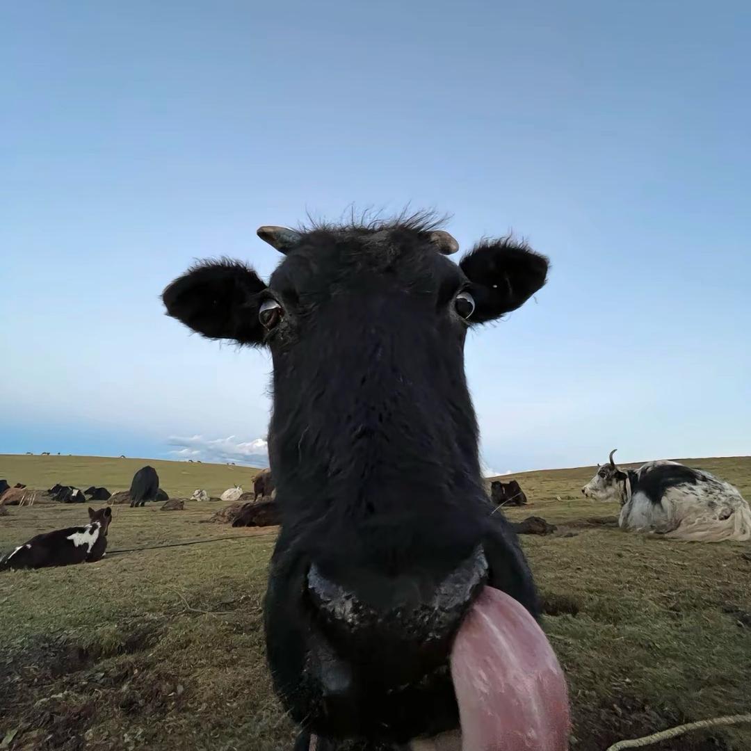 总被女人骗了64次