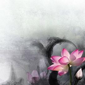 我行我素